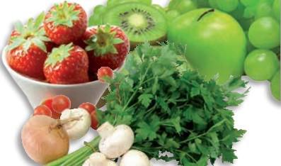 Demeditec 過(guò)敏原診斷試劑盒(ELISA法)