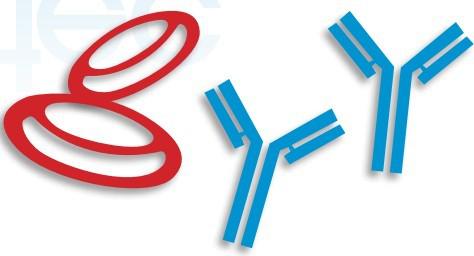 Demeditec 自身免疫疾病診斷試劑盒(ELISA法)